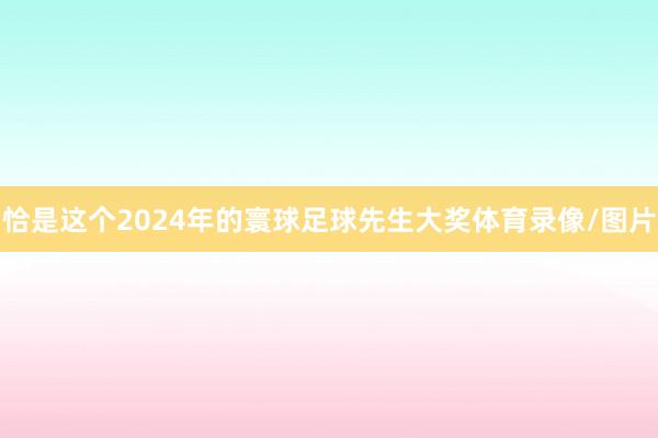 恰是这个2024年的寰球足球先生大奖体育录像/图片